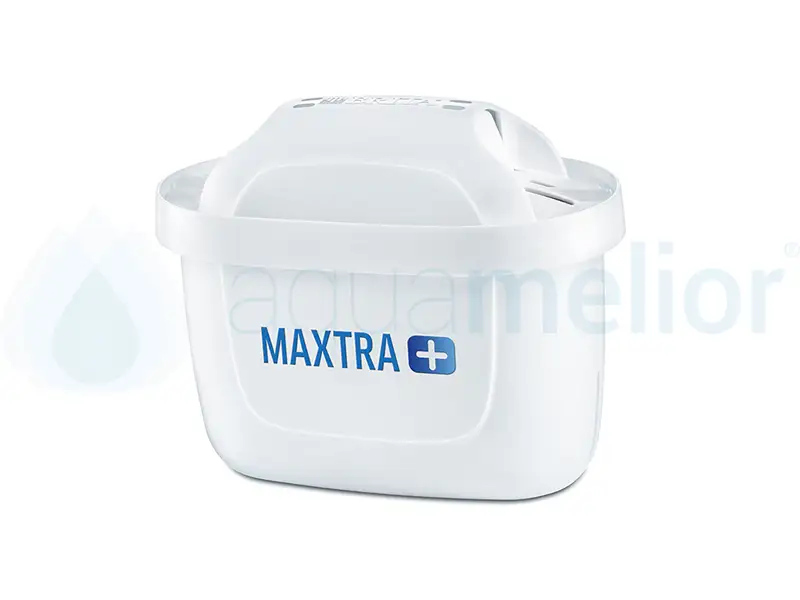 maxta.png