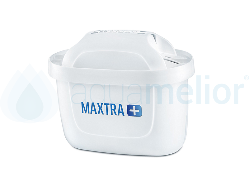 maxta.png