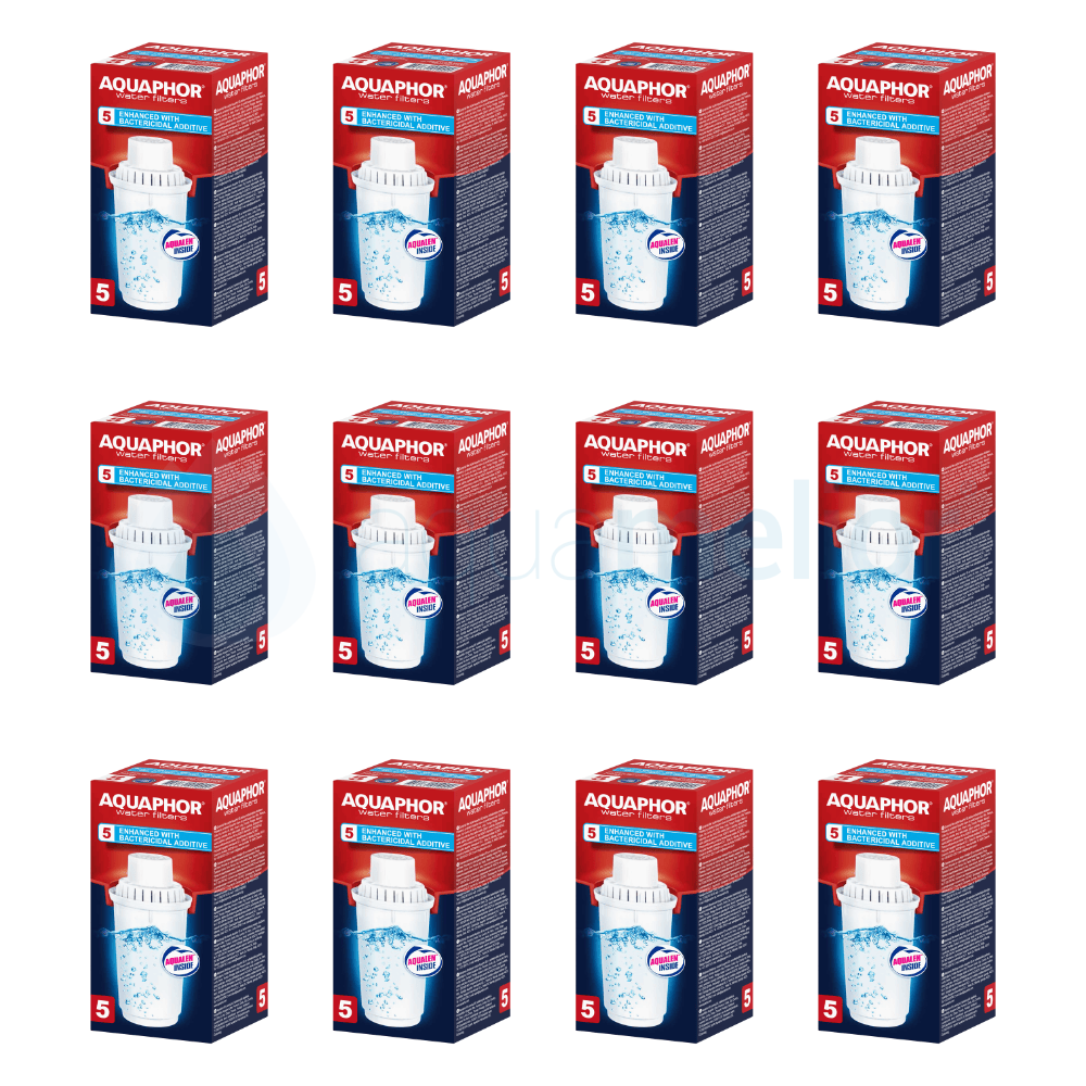 b5 12.png