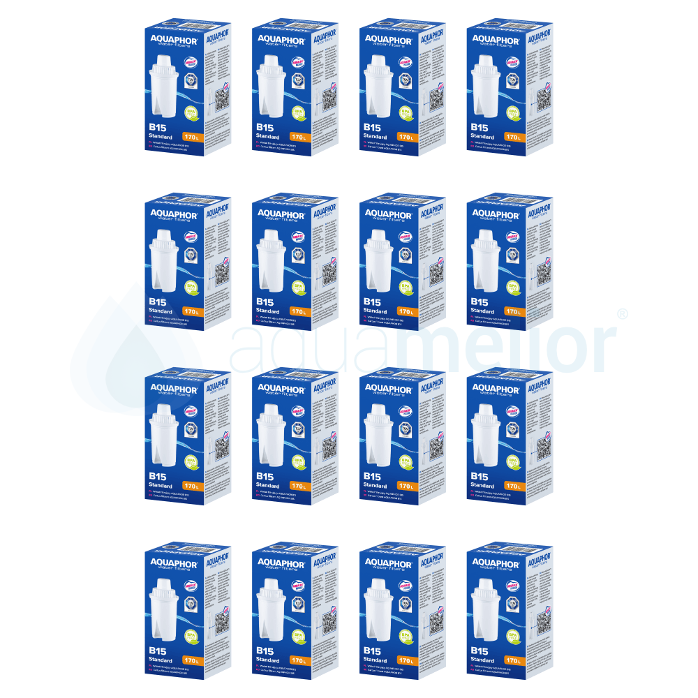 b15 x16.png