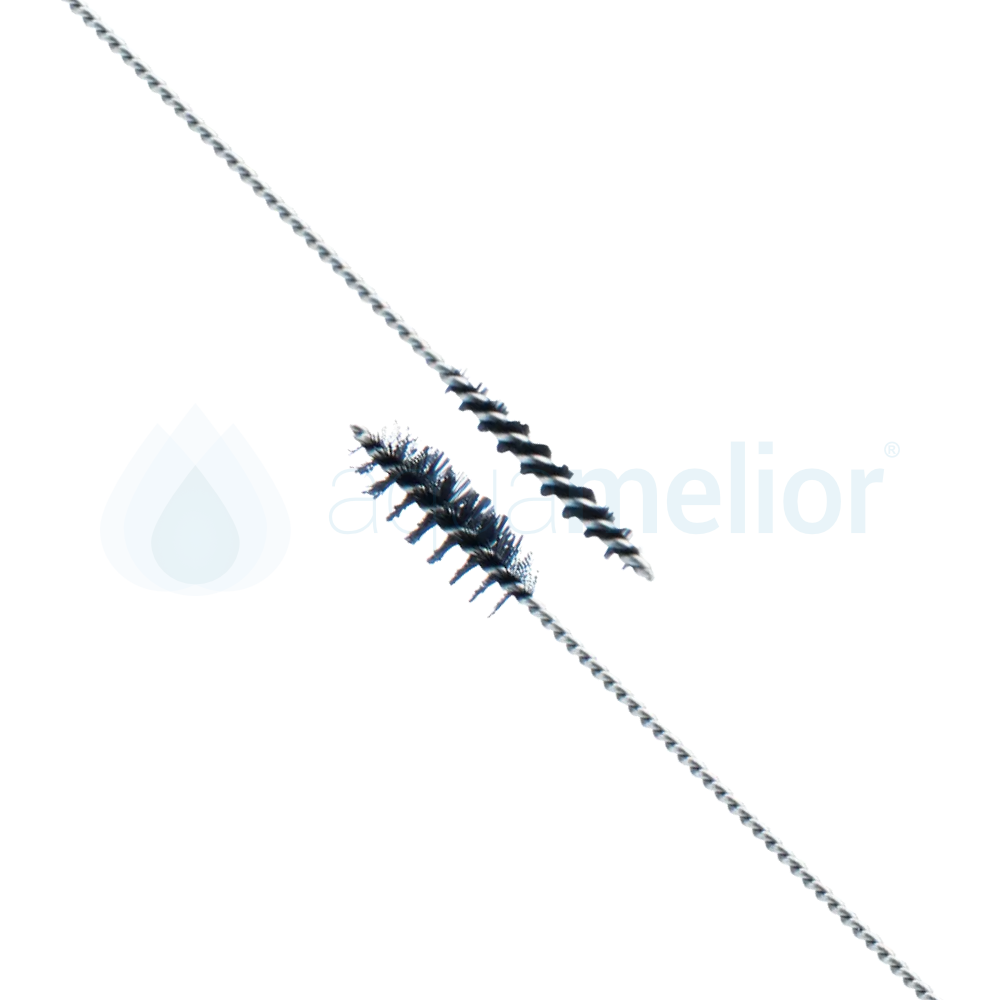 wycior2.png