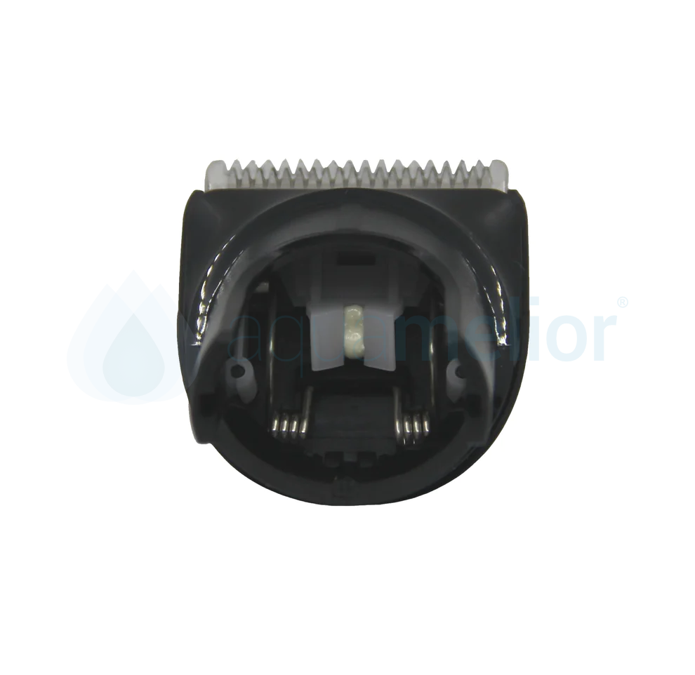 57_8b562e03-2ab3-4096-9d74-6e043bf94902.png