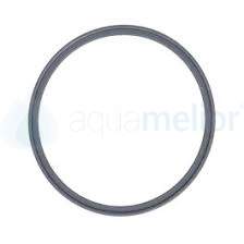 KRUPS MS-0698531 Uszczelka do ekspresu do kawy 44x3mm.jpg