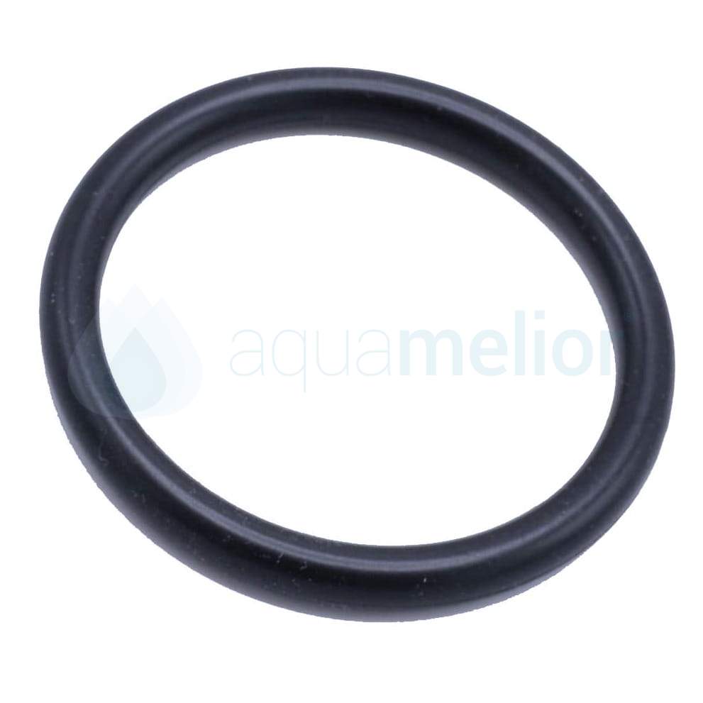 DeLonghi 5313238581 O-ring uszczelka tłoka zaparzacza.jpg