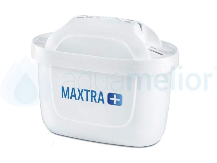 M+.jpg