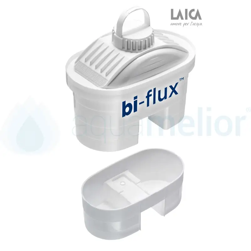 laica B flux.jpg