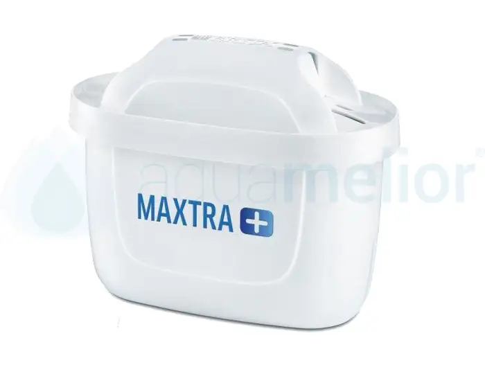 M+.jpg
