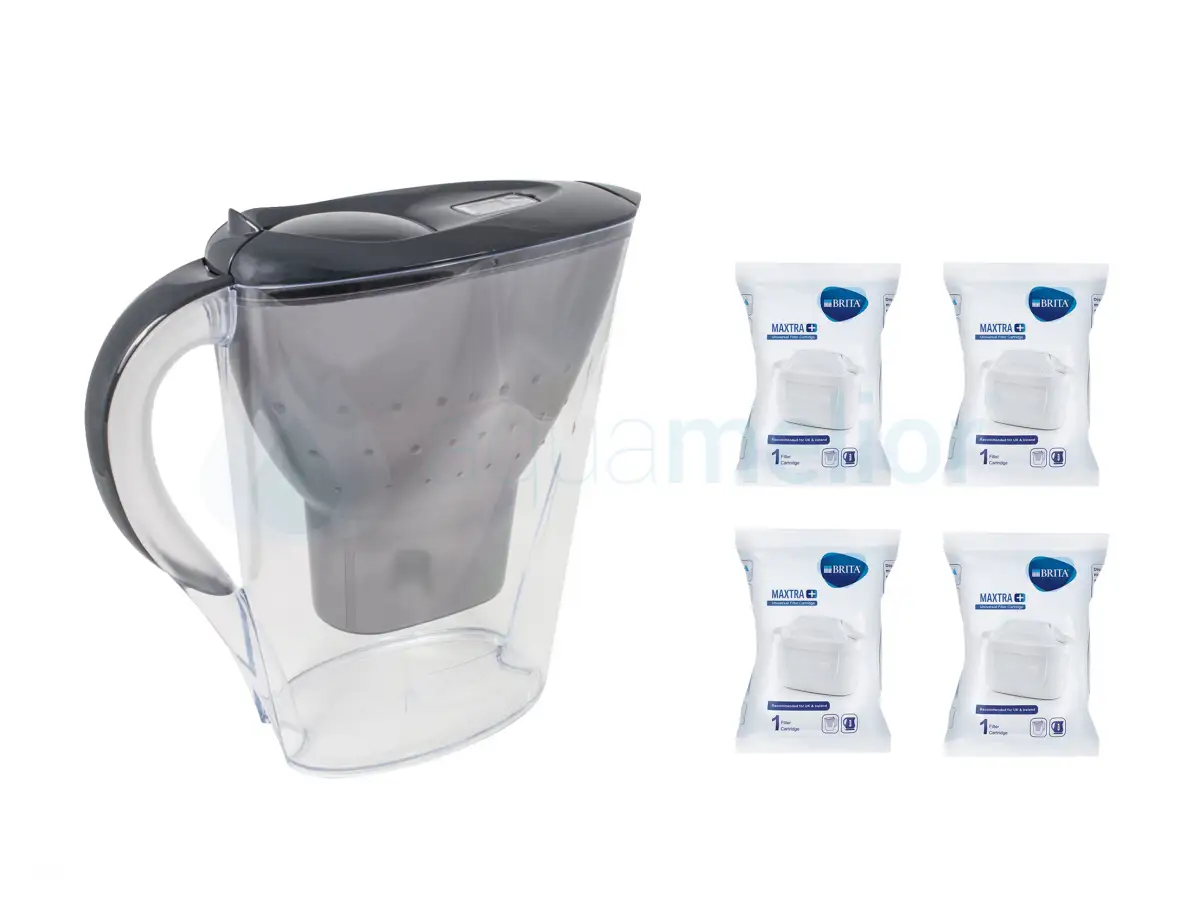 Marella MX_g_4M+.jpg