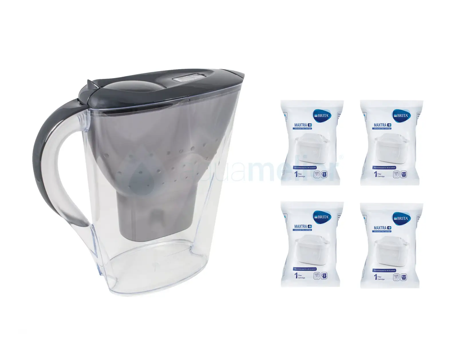 Marella MX_g_4M+.jpg