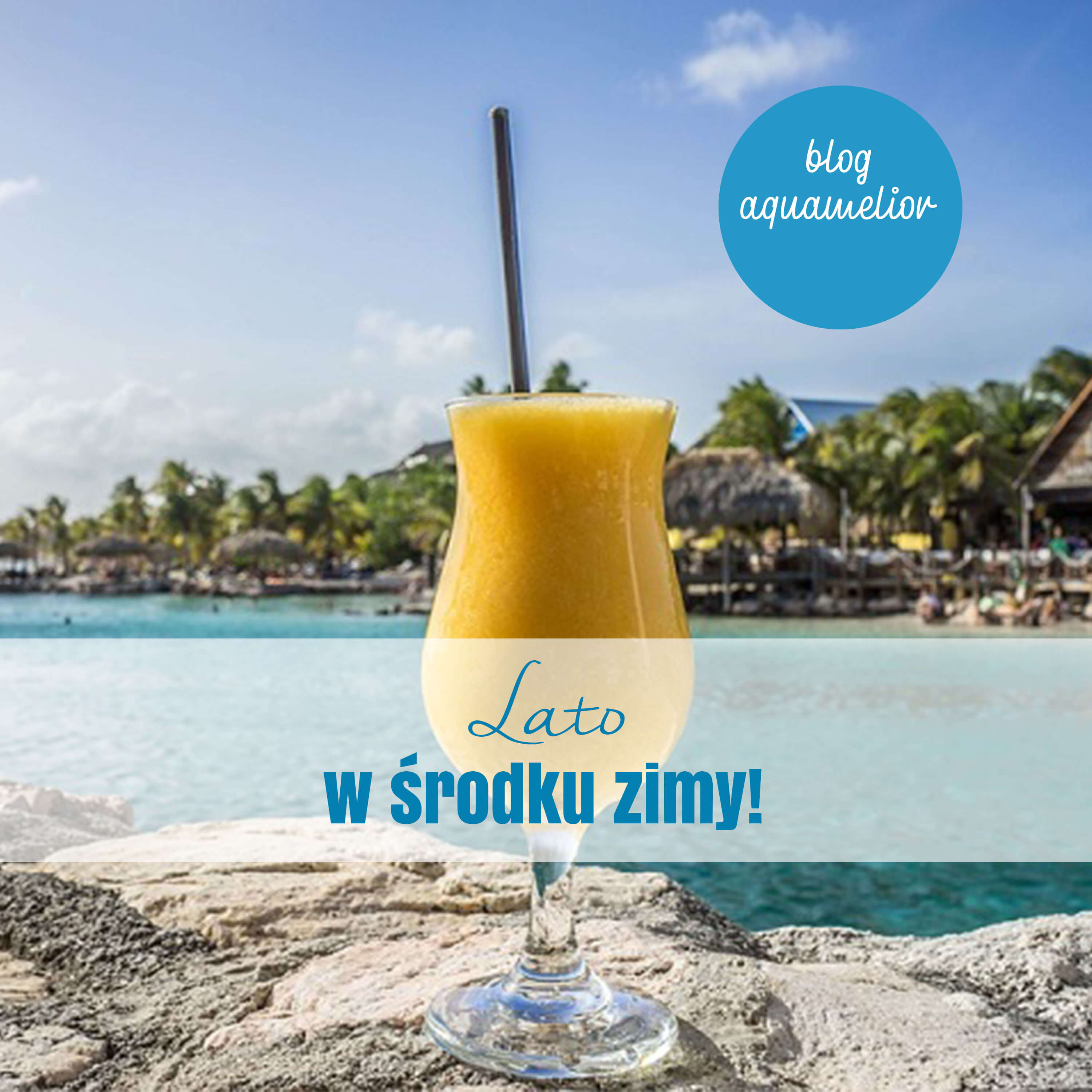 Złap trochę lata w środku zimy!